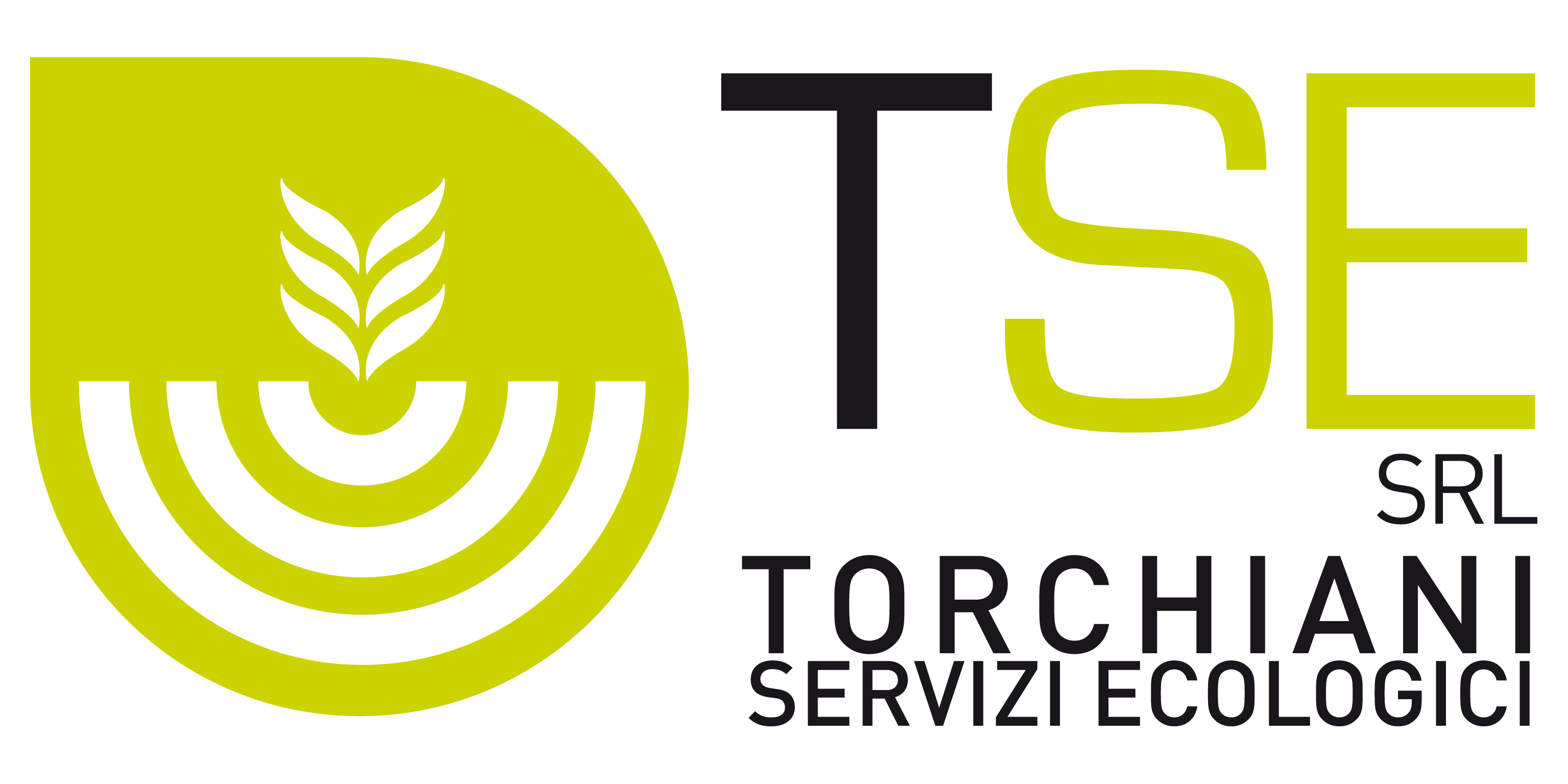 TSE Logo.jpg